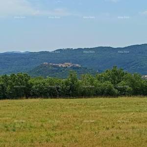 Prodaja građevinskog zemljišta, površine od 1374 m2, Buzet!