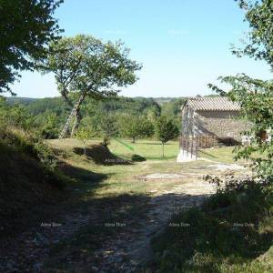 Prodaja građevinskog zemljišta, blizina Motovuna!