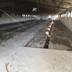 Prodaja, Hala-Skladište, Ivanić Grad, Goričanska ulica bb, 4320m2
