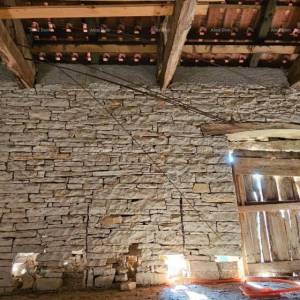 Prodaja istarske kamene kuće za kompletnu renovaciju na velikoj parceli od 4500 M2. Oprtalj