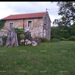 Prodaja istarske kamene kuće za kompletnu renovaciju na velikoj parceli od 4500 M2. Oprtalj