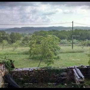 Prodaja istarske kamene kuće za kompletnu renovaciju na velikoj parceli od 4500 M2. Oprtalj