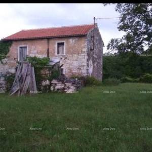Prodaja istarske kamene kuće za kompletnu renovaciju na velikoj parceli od 4500 M2. Oprtalj