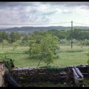 Prodaja istarske kamene kuće za kompletnu renovaciju na velikoj parceli od 4500 M2. Oprtalj