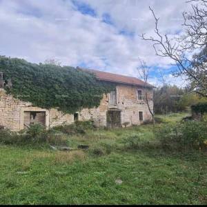 Prodaja istarske kamene kuće za kompletnu renovaciju na velikoj parceli od 4500 M2. Oprtalj
