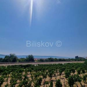 Prodaja, K. Kambelovac, građevinsko zemljište 1158 m2