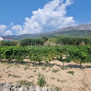 Prodaja, K. Kambelovac, građevinsko zemljište 1158 m2