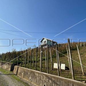 Prodaja, Kuća, Centar, Trški vrh, Samostojeća, 70m2