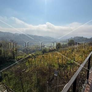 Prodaja, Kuća, Centar, Trški vrh, Samostojeća, 70m2