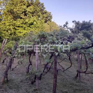 Prodaja, Kuća, Gornja Dubrava, Prešci, Samostojeća, 27m2