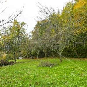 Prodaja, Kuća, Okić, Okić - okolica, Samostojeća, 90m2