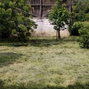 Prodaja, Kuća s okućnicom površine 1.402 m2, ŠODOLOVCI