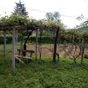 Prodaja, Kuća, Samostojeća, Karlovačka županija, Karlovac, Turanj
