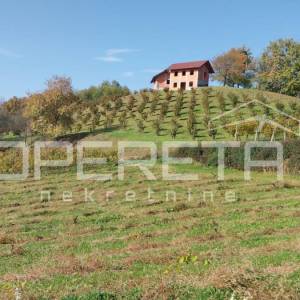 Prodaja, Kuća, Sveti Ivan Zelina-okolica, Selnica Psarjevačka, Samostojeća, 80m2