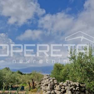 PRODAJA MASLINIKA S POGLEDOM NA MORE – IDEALNO ZA INVESTICIJU I ODRŽIVI TURIZAM
