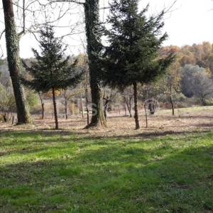 Prodaja, Plitvička Jezera, Grabovac, zemlj. ukupne površine 46.735 m2