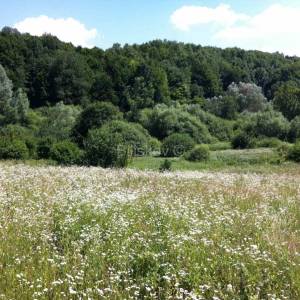 Prodaja, Plitvička Jezera, Grabovac, zemlj. ukupne površine 46.735 m2