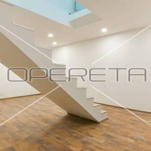 Prodaja, Ulični lokal, Centar, Medvedgradska, 149m2