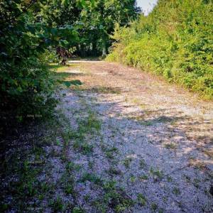 Prodaje se građevinski teren, Kršan, 761 m2 sa građevinskom dozvolom