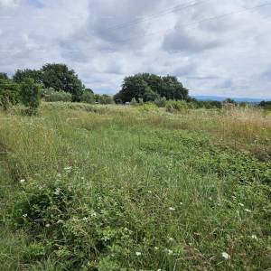 Prodaje se građevinsko zemljište, 1712m2, Marčana!