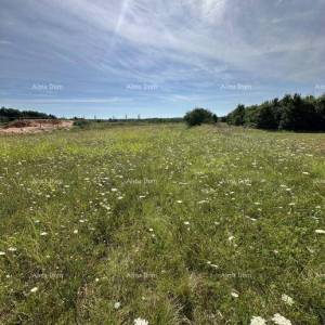 Prodaje se građevinsko zemljište, 5832m2, Barban