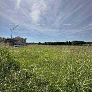 Prodaje se građevinsko zemljište, 5832m2, Barban