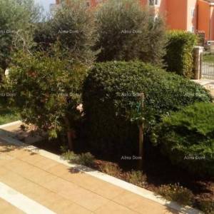 Prodaje se kuća sa 5 apartmana i pogledom na more, Premantura