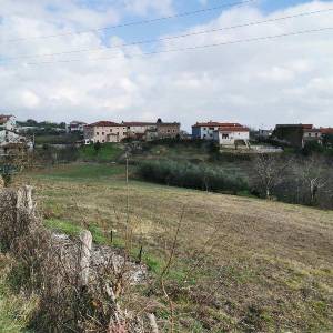 Prodaje se velika građevinska parcela sa puno potencijala!