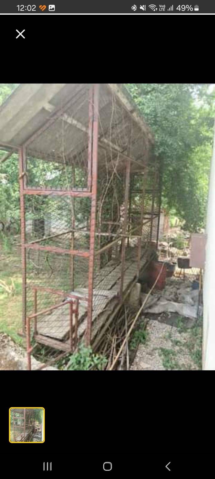 Prodajem kukuruznjak 4×0.8m bisina 3m..