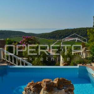 Prostrani stan s vrtom, bazenom i jacuzzijem – Korčula, najam