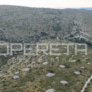 Prostrano poljoprivredno zemljište od 25,928 m2 na otoku Braču