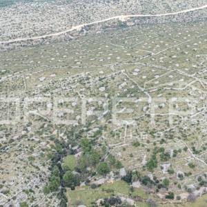 Prostrano poljoprivredno zemljište od 25,928 m2 na otoku Braču