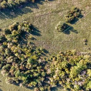 Prostrano poljoprivredno zemljište 82000m2 Marčana
