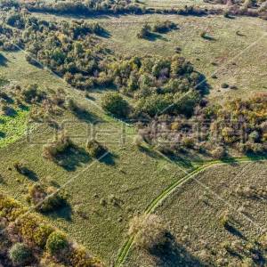 Prostrano poljoprivredno zemljište 82000m2 Marčana