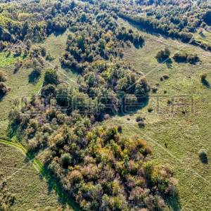 Prostrano poljoprivredno zemljište 82000m2 Marčana
