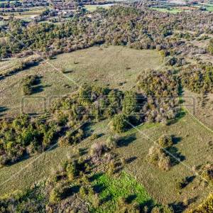 Prostrano poljoprivredno zemljište 82000m2 Marčana