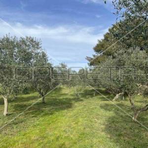 Punta Križa, Mali Lošinj, 4.260,00 m2, 249.000,00 EUR