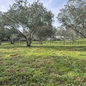 Punta Križa, Mali Lošinj, 4.260,00 m2, 249.000,00 EUR