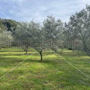 Punta Križa, Mali Lošinj, 4.260,00 m2, 249.000,00 EUR