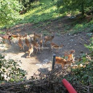  RAZNE POSLOVNE MOGUĆNOSTI!!! 