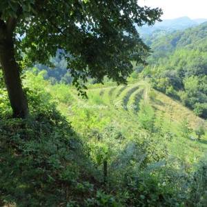  RAZNE POSLOVNE MOGUĆNOSTI!!! 