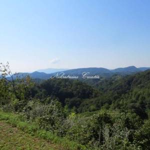  RAZNE POSLOVNE MOGUĆNOSTI!!! 