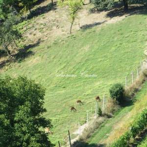  RAZNE POSLOVNE MOGUĆNOSTI!!! 