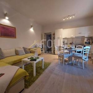 Rijeka, Belveder, 50m2, adaptiran 2-sobni stan