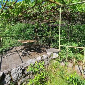 RIJEKA, CENTAR - Zelena idila u centru grada - RIJETKOST U PONUDI