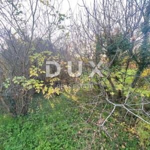 RIJEKA, DRENOVA - samostojeća kuća + dvije dvorišne zgrade + dvorište + 2.997 m2 GRAĐEVINSKOG ZEMLJIŠTA! PRILIKA!