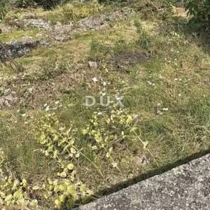 RIJEKA, HRELJIN - građevinsko zemljište 753 m2
