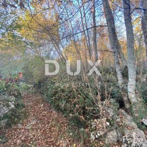 RIJEKA, KASTAV - građevinsko zemljište 2.911 m2 za stambenu zgradu / stanove / apartmane / obiteljsku kuću / villu! PRILIKA!...