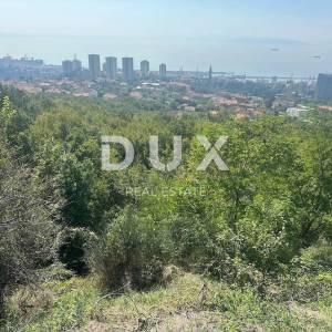 RIJEKA, KOZALA - građevinsko zemljište 4000m2 s panoramskim pogledom na more