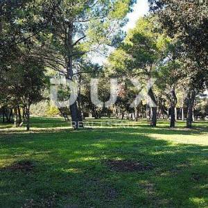 ROVINJ - građevinski teren 3670m2 za hotel / boutique hotel / motel / kamp /apartmane / ville - kuće za iznajmljivanje sa bazen...